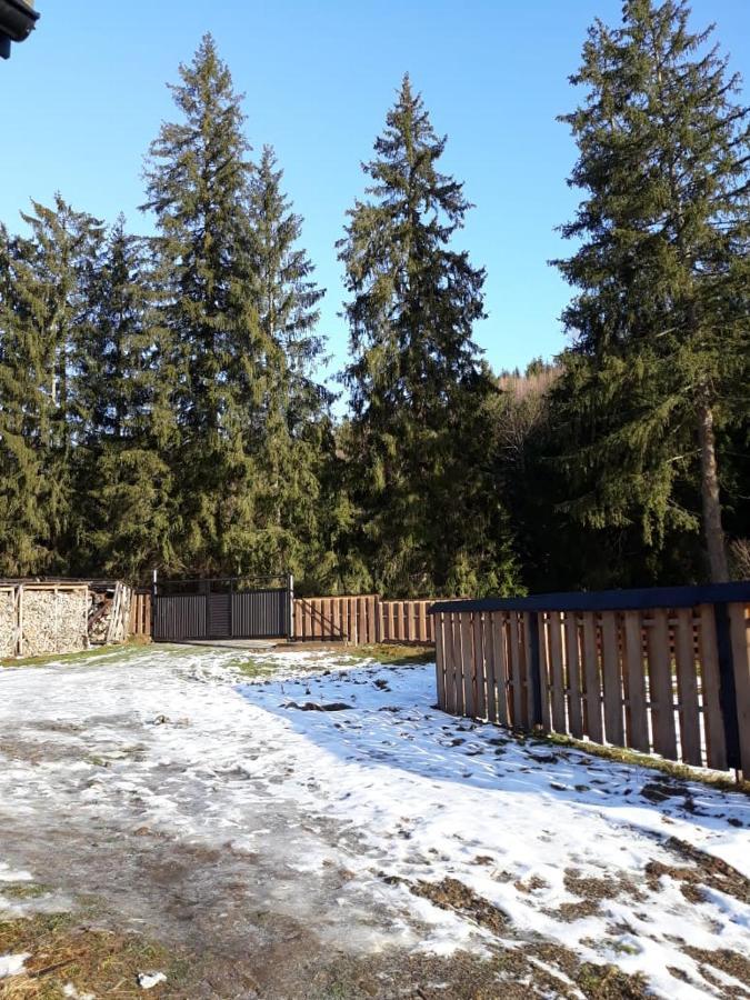 Ozdoba Villa Verkhovyna Esterno foto