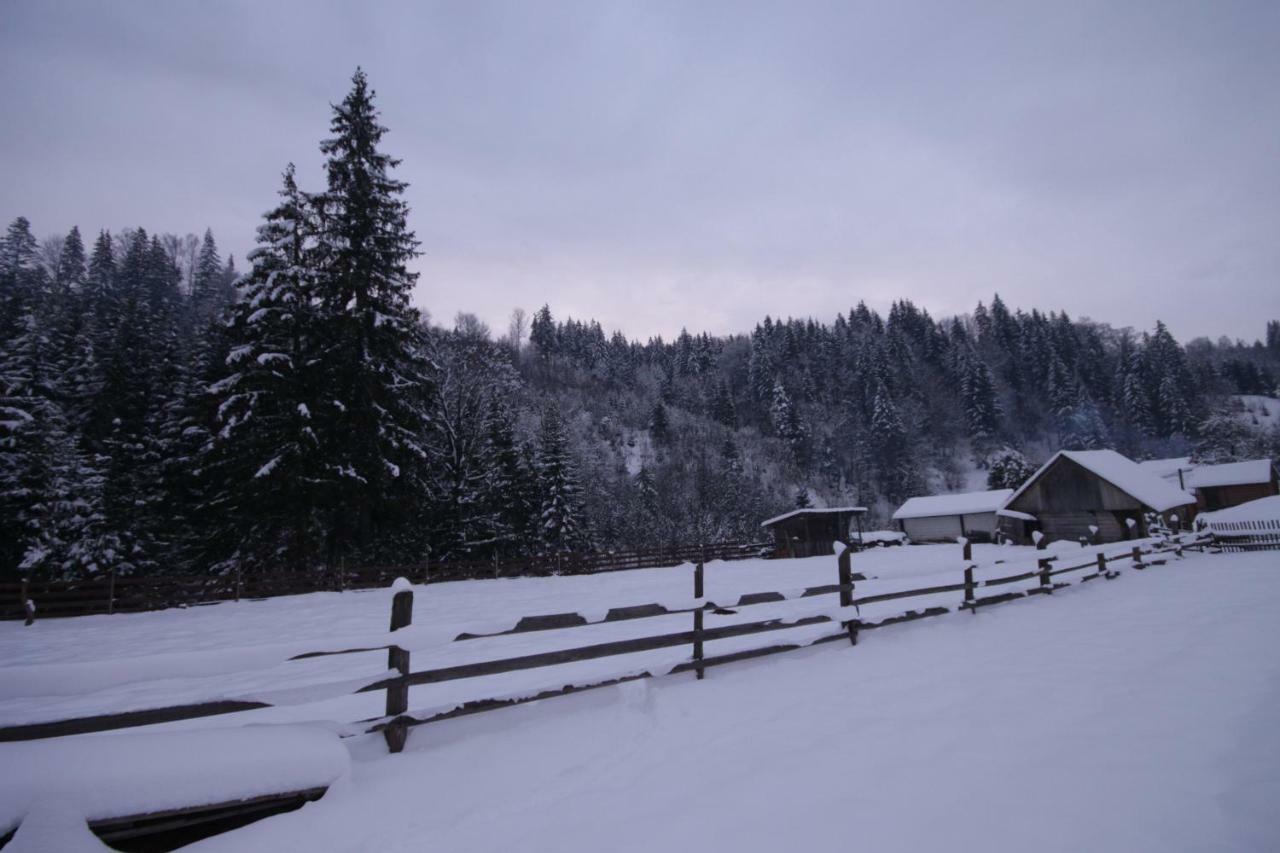 Ozdoba Villa Verkhovyna Esterno foto