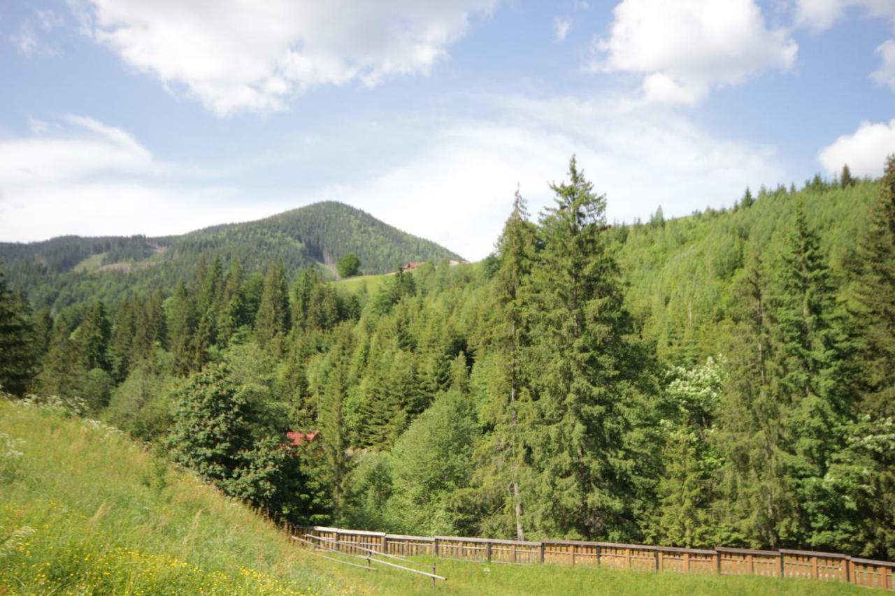 Ozdoba Villa Verkhovyna Esterno foto